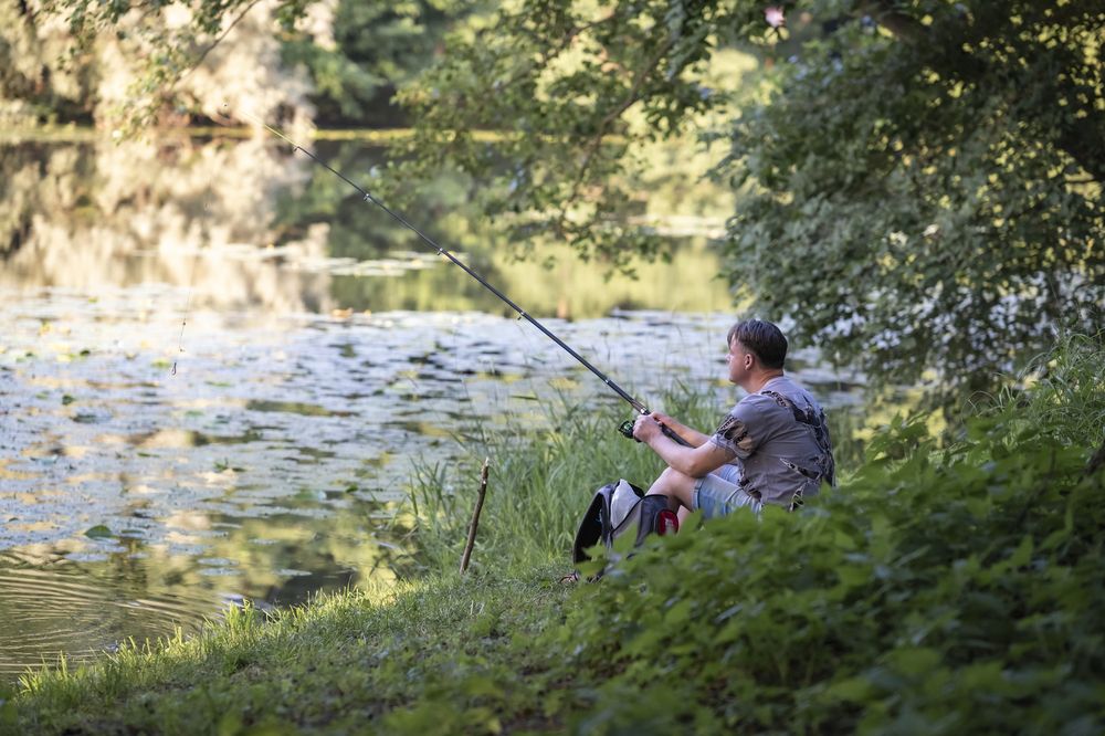 Photograph by Елена Барышева