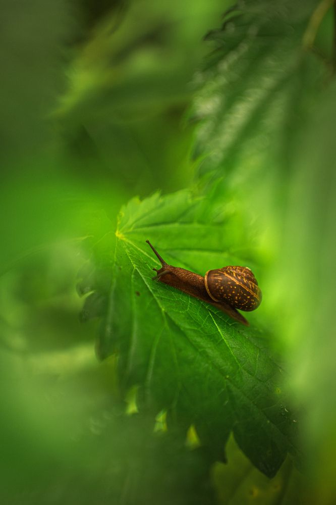 Фотография автора Мария Шишкина