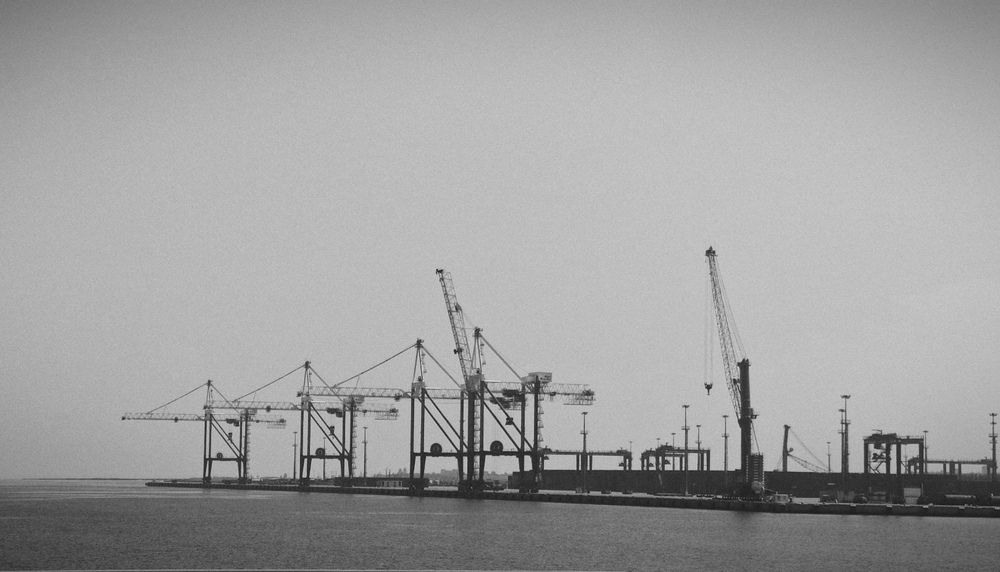 Фотография автора Алиса