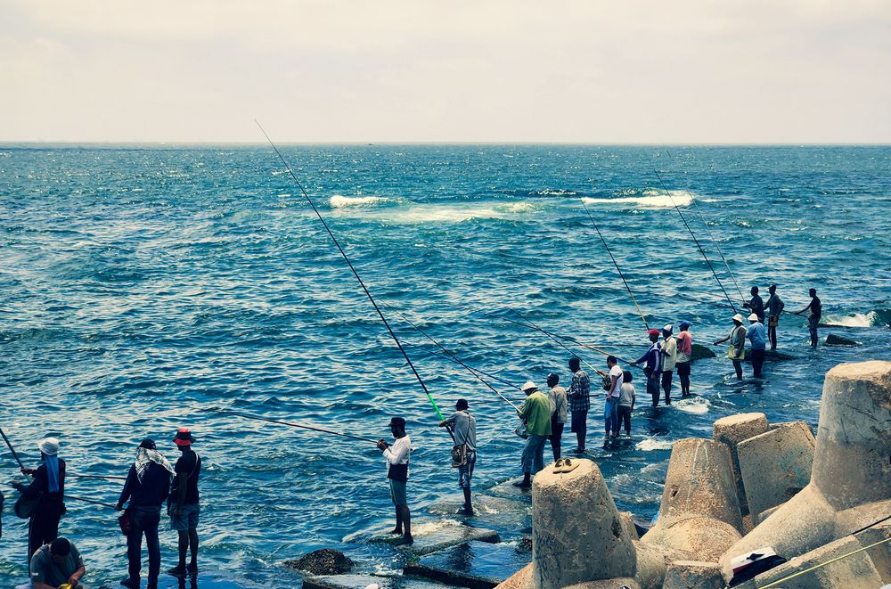 Photograph by Ahmed Ehab Akl