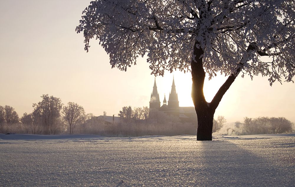 Фотография автора Inga Ivanova