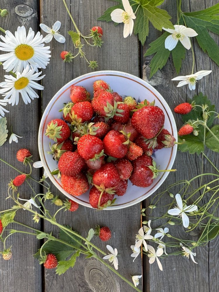 Photograph by Екатерина Мирошникова