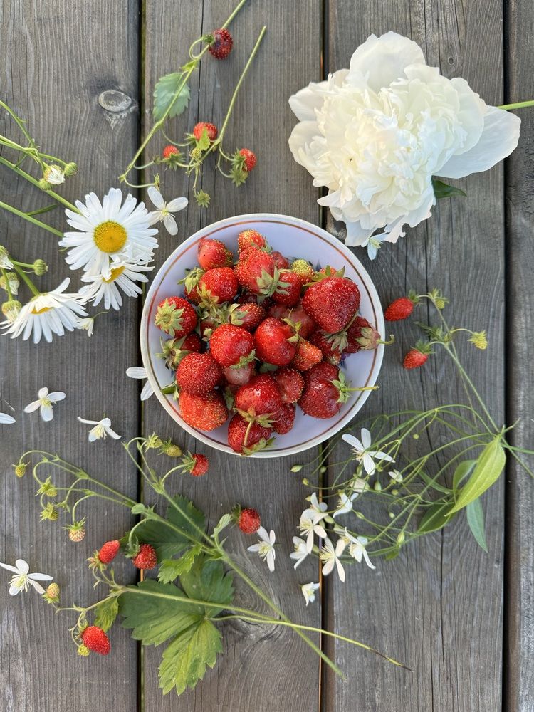 Photograph by Екатерина Мирошникова