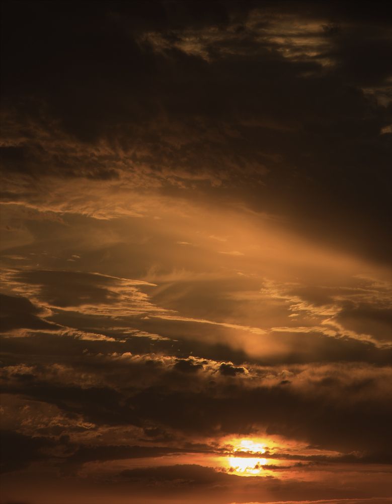 Photograph by Nadezhda Sergeevna