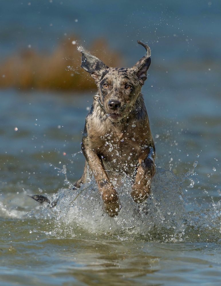 Photograph by Radenko Malić