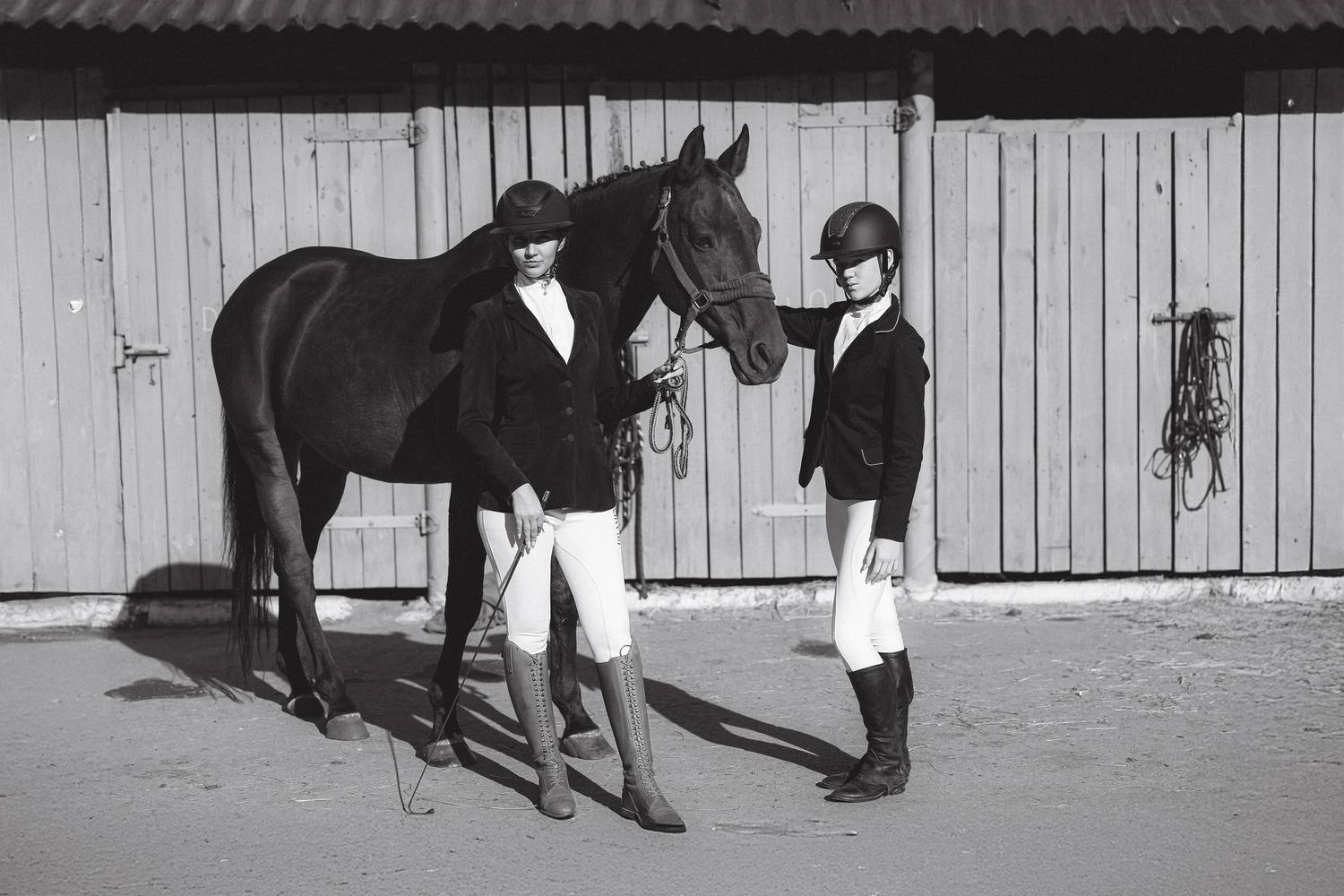 Фотография #12403134