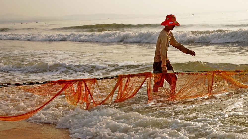 Photograph by николай зайцев