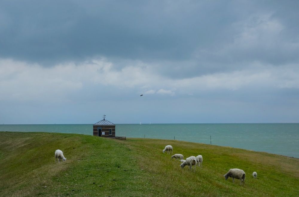 Photograph by Ионова Татьяна