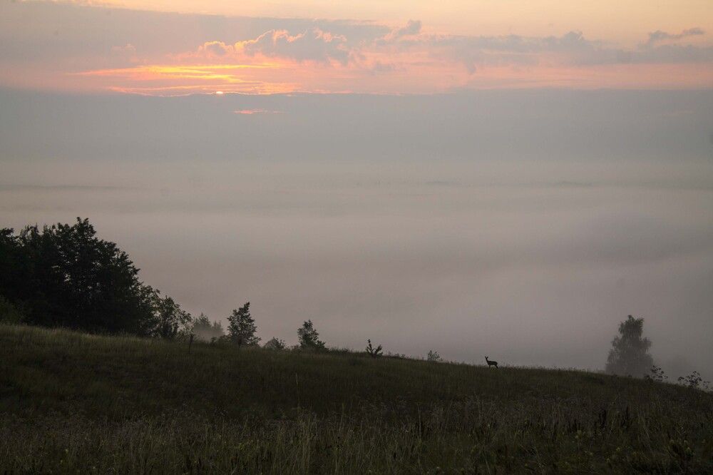 Photograph by Мария Бобылёва