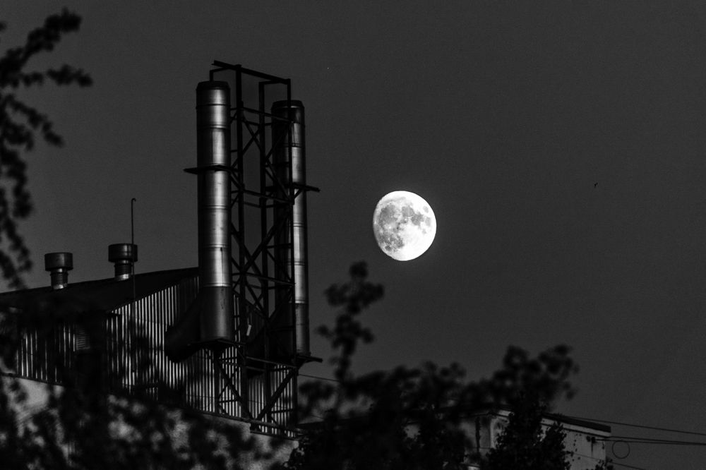 Photograph by Владимир Рогулькин