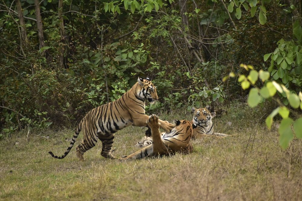 Photograph by Sheetal