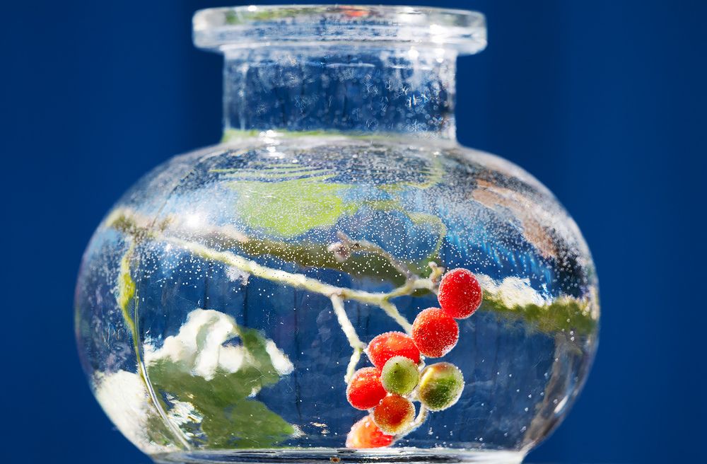 Photograph by Дмитрий Ткаченко