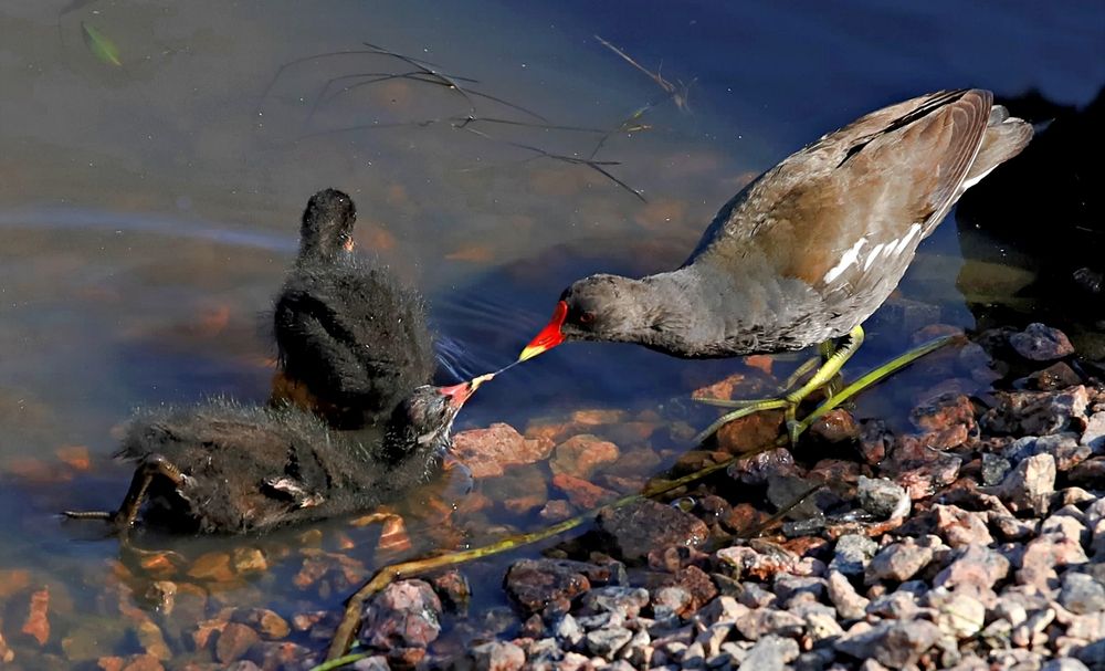 Photograph by Татьяна Слесарева
