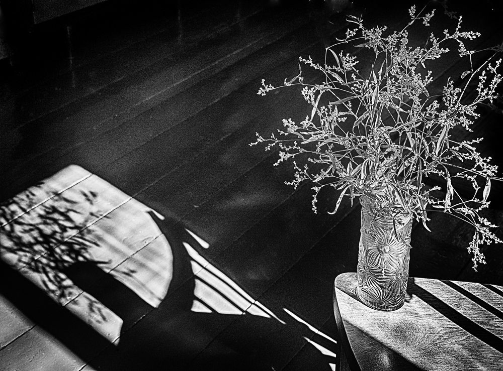 Photograph by Борис Кравецкий