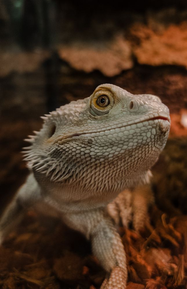 Photograph by Евгения Бородина