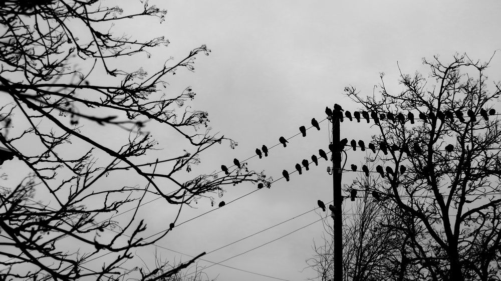 Photograph by Юлия Иванова