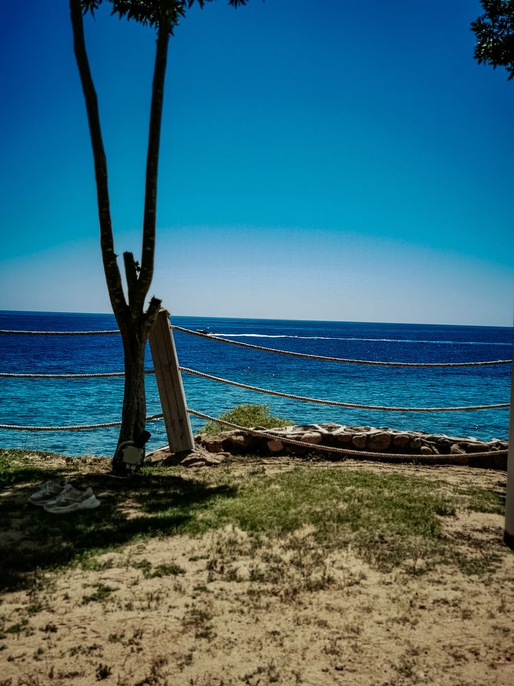 Photograph by Наталья Асоскова