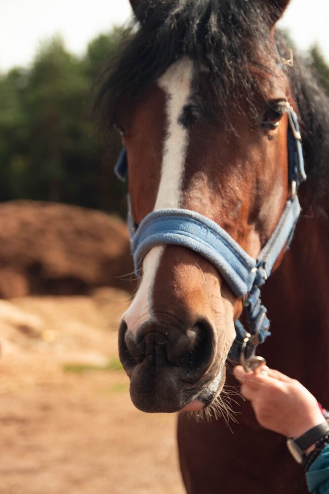 Photograph by Михаил Костыря