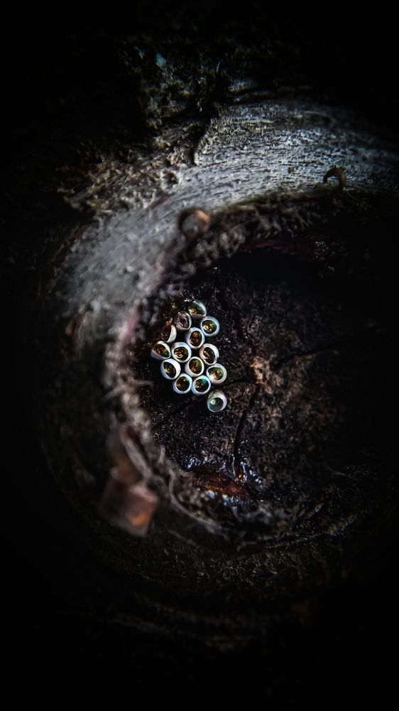 Фотография автора Наталья Алексеева