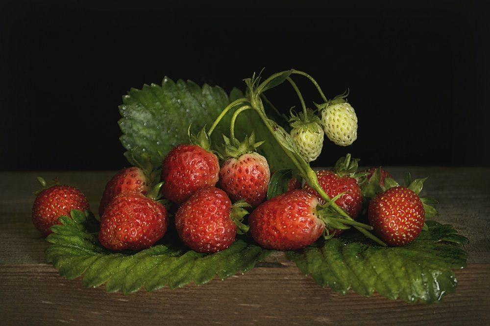 Photograph by Соколова Елена