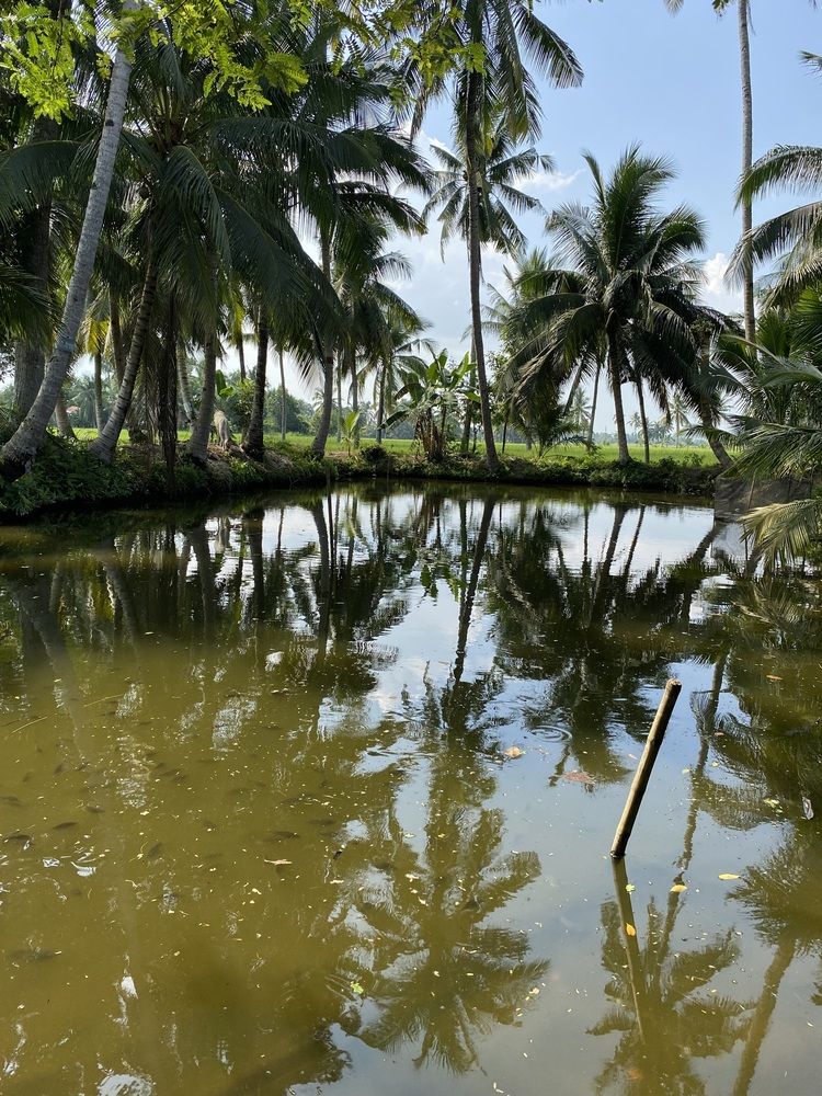 Фотография автора Pauline Jade Bolanio