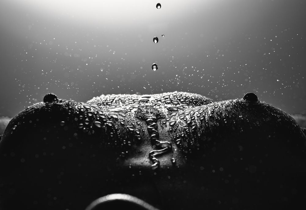 Фотография автора Сергей Сергеев