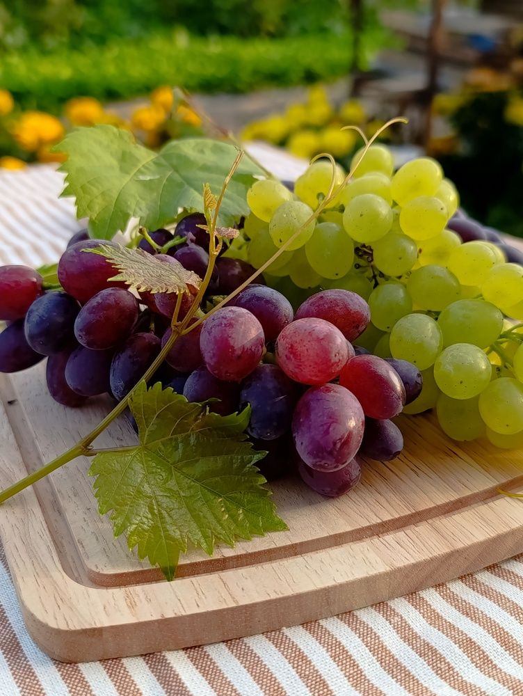 Photograph by Светлана Таркан