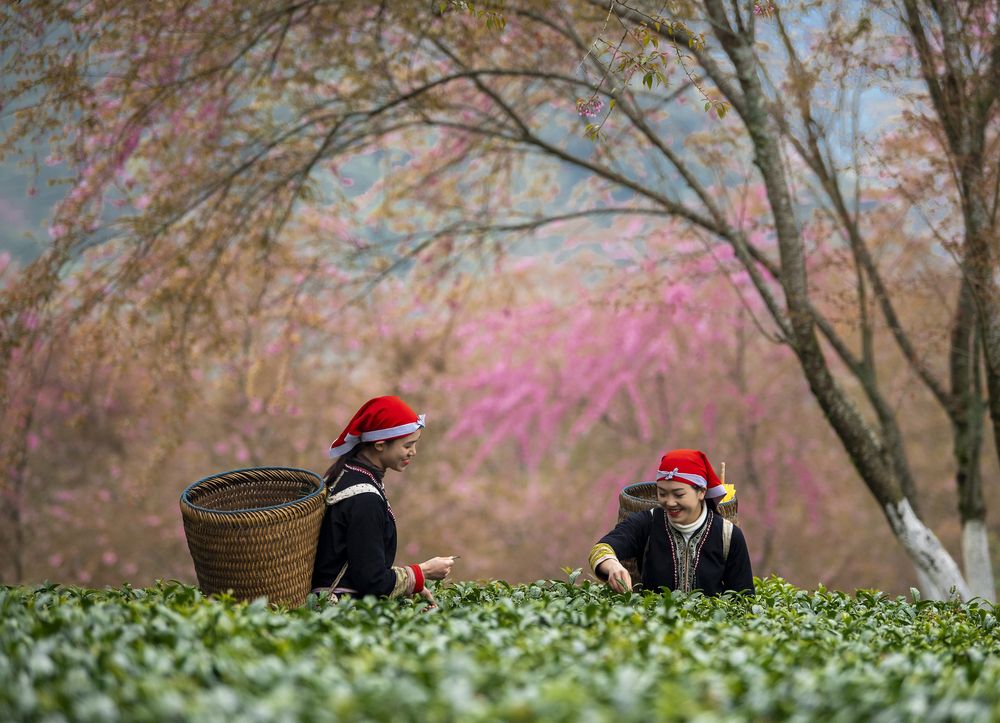 Photograph by Tam Phan Minh Minh