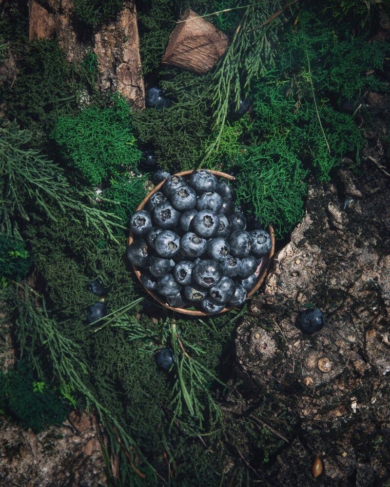 Photograph by Сергей Макаров