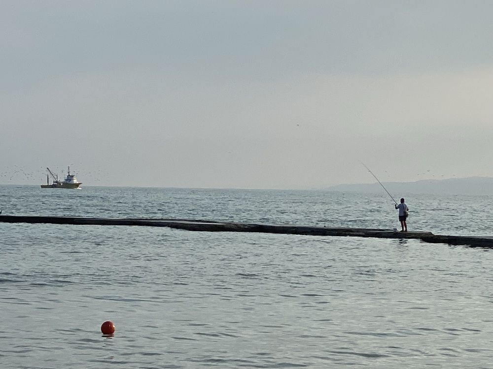 Photograph by Stoyan Baev