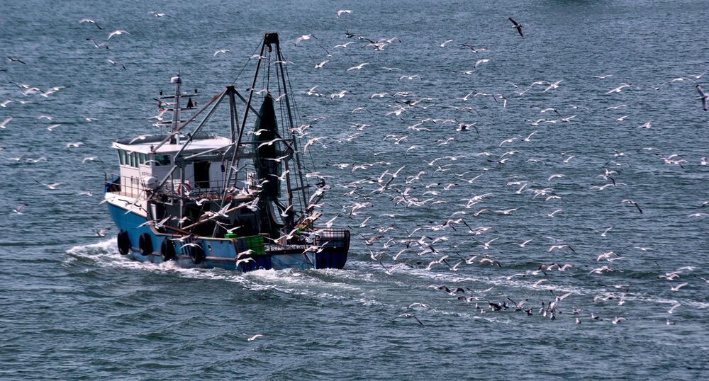 Photograph by Stoyan Baev