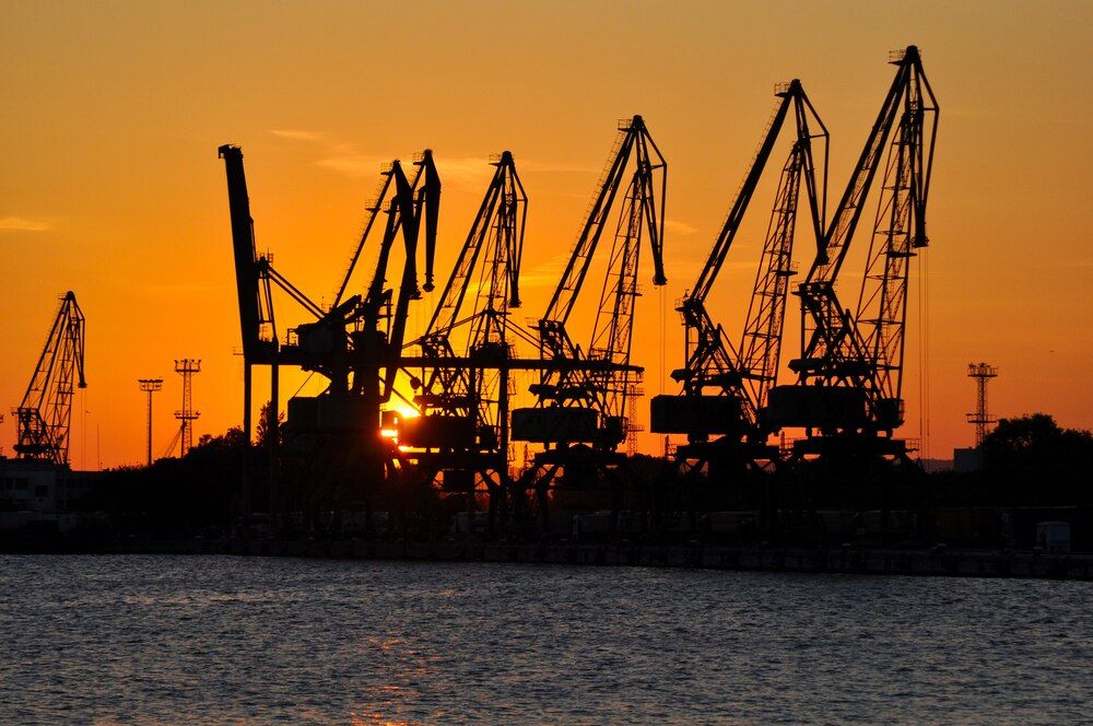 Photograph by Stoyan Baev