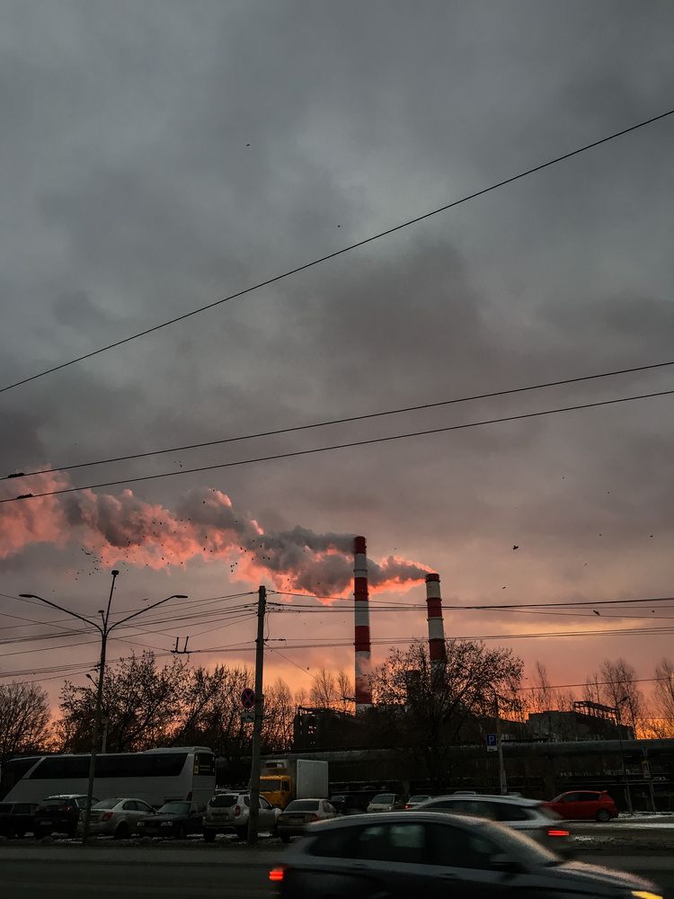 Photograph by Елизавета Большакова