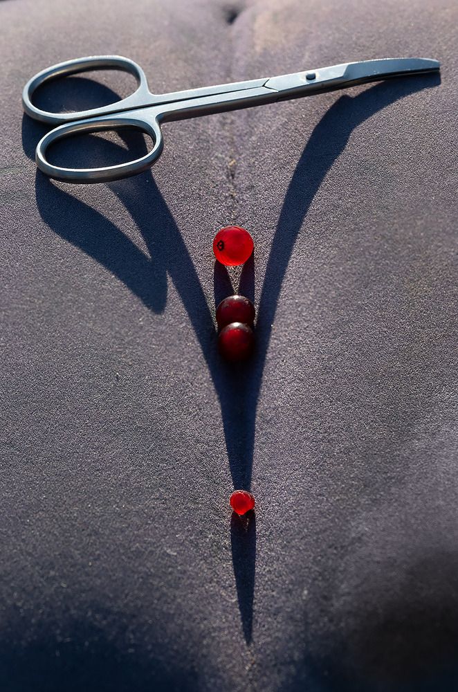 Photograph by Дмитрий Ткаченко