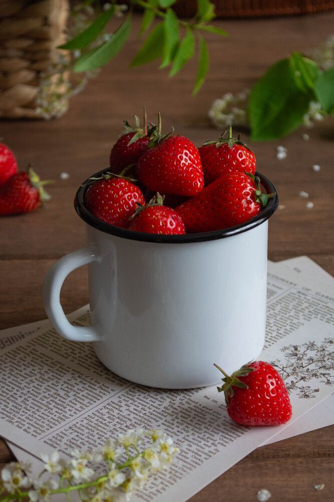 Фотография автора Ирина Дашевская