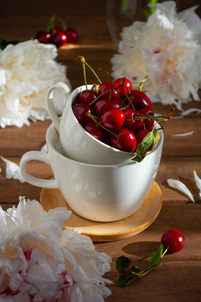 Фотография автора Ирина Дашевская