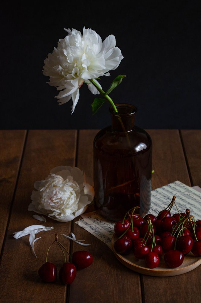 Фотография автора Ирина Дашевская