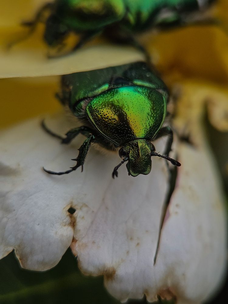 Photograph by Севиля Вейсалова