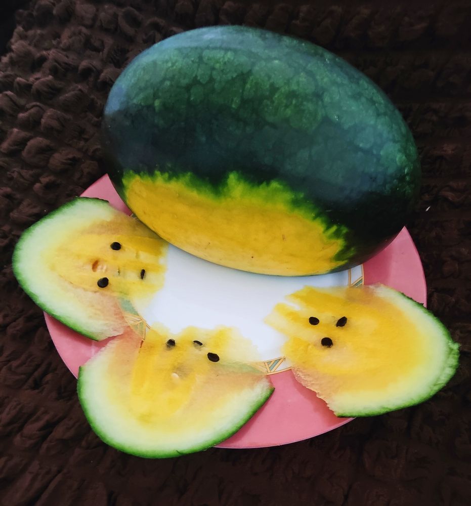 Photograph by Olena Chertous