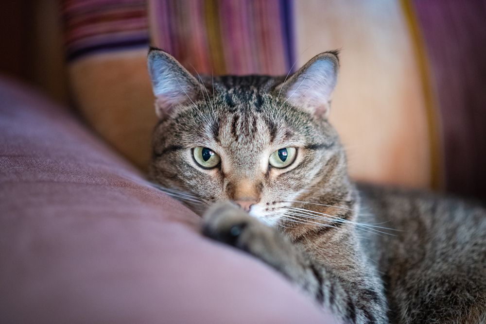 Photograph by Ирина Ященко