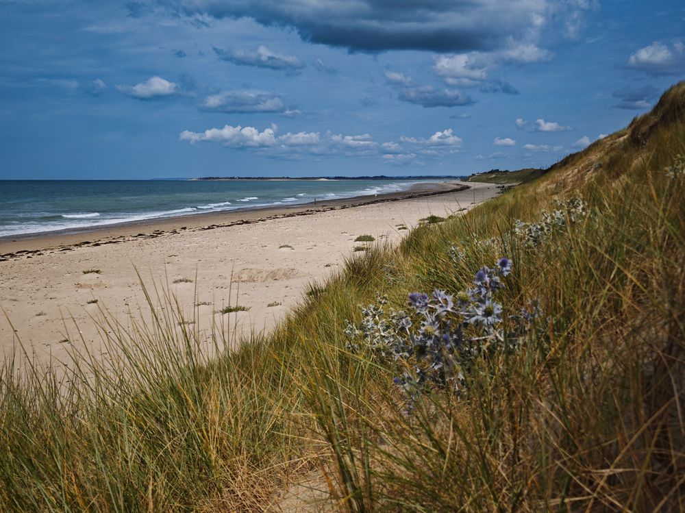 Photograph by Александра Шилова