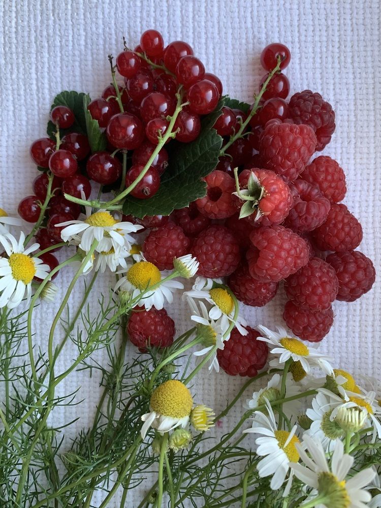 Фотография автора Ирина Шпаковская