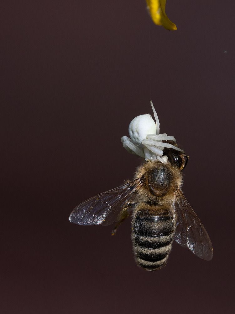 Photograph by Дмитрий Ткаченко