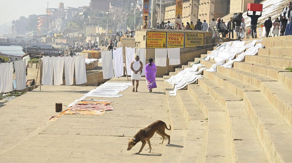 Фотография автора Shreyan Dey Sarkar