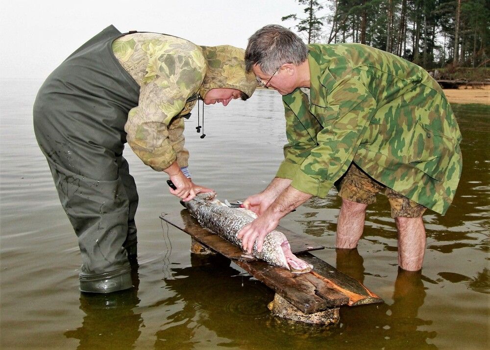 Photograph by Сергей Журавлев