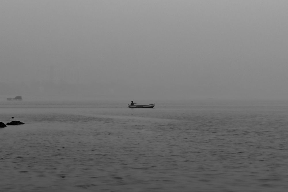 Photo #12404795