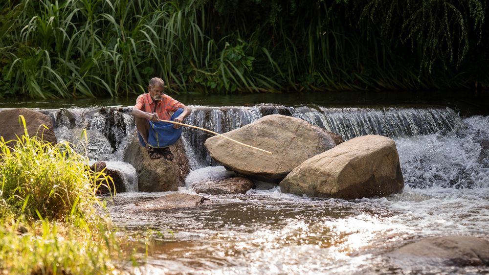 Photograph by Vineeth V V