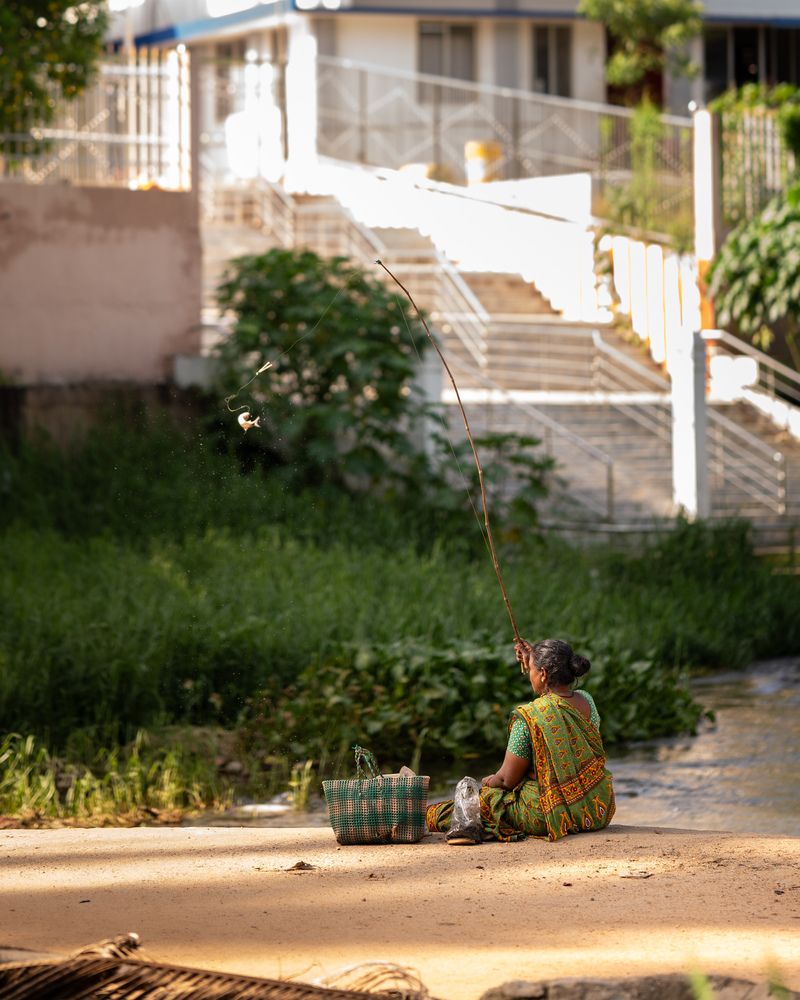 Photograph by Vineeth V V