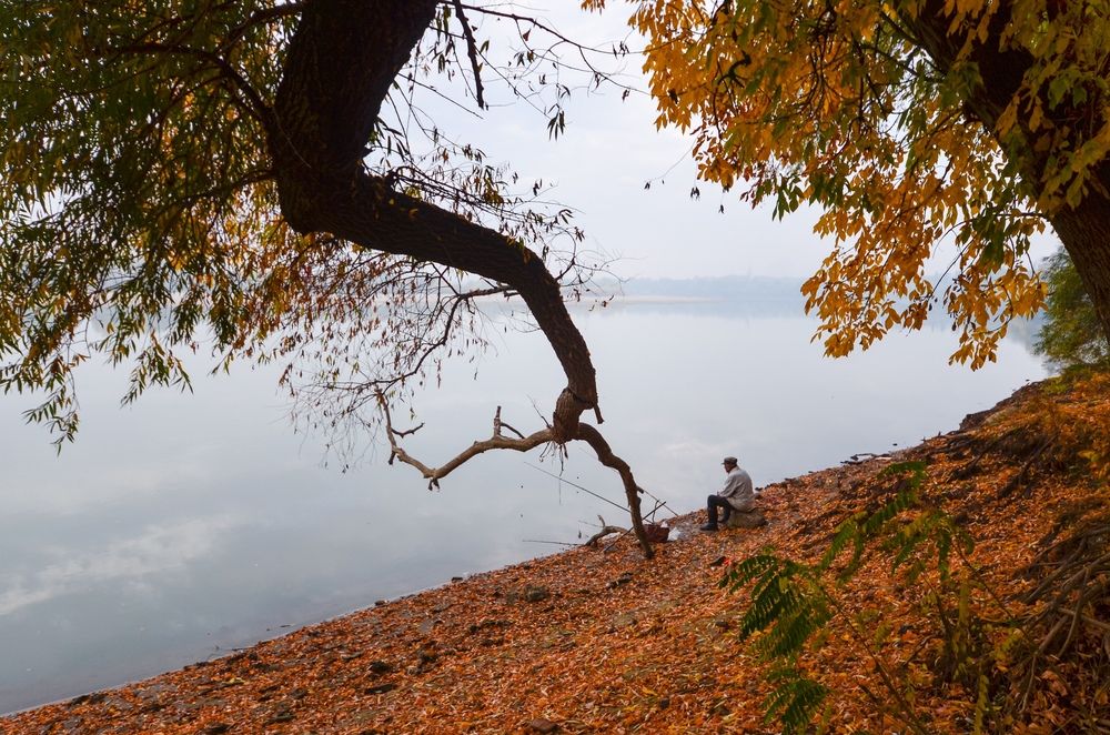 Photograph by Елена Шевченко