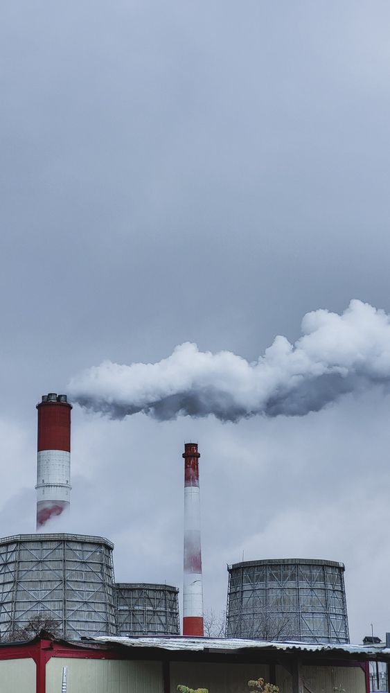 Photograph by Дарья